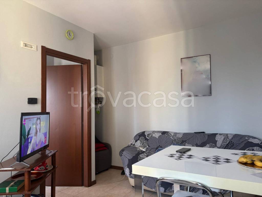 immagine annuncio 3 di 8