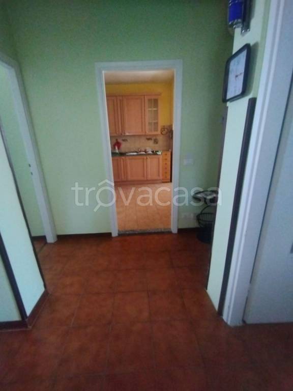 immagine annuncio 7 di 14