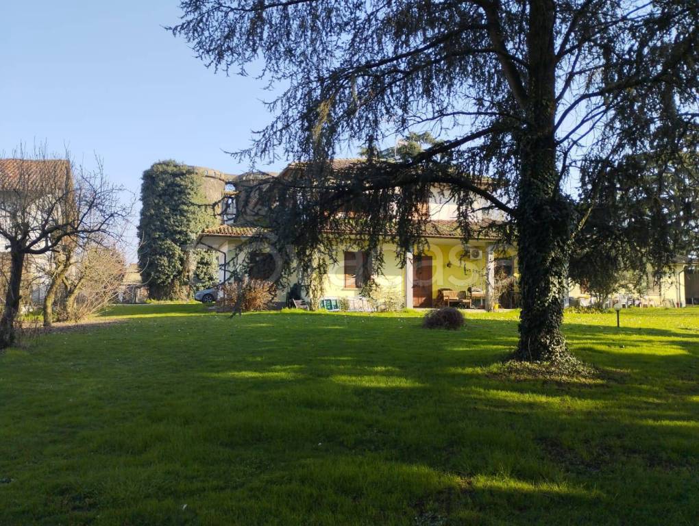 immagine annuncio 6 di 15
