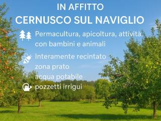 Terreno agricolo in affitto a cernusco sul naviglio cascina san maurizio