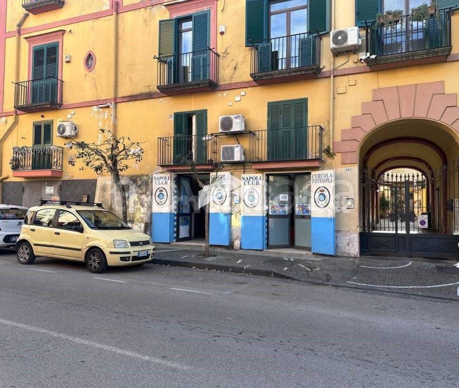 immagine annuncio 9 di 13