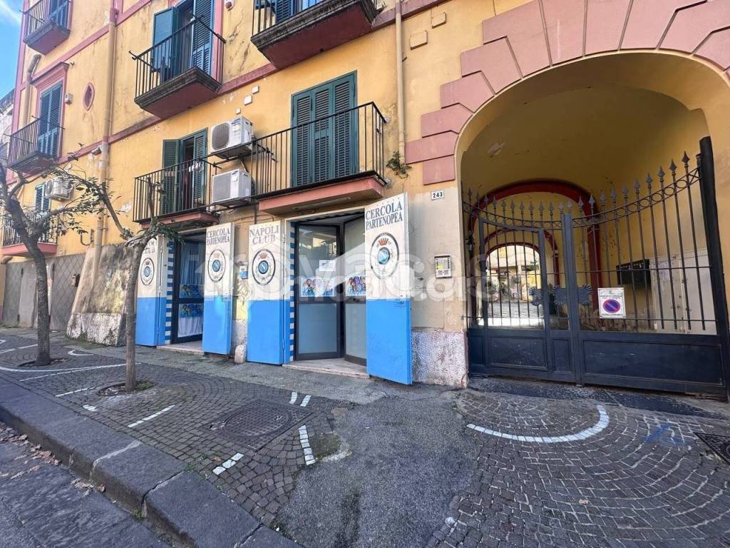 immagine annuncio 11 di 13