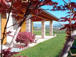 Villa bifamiliare in vendita a bussolengo 
