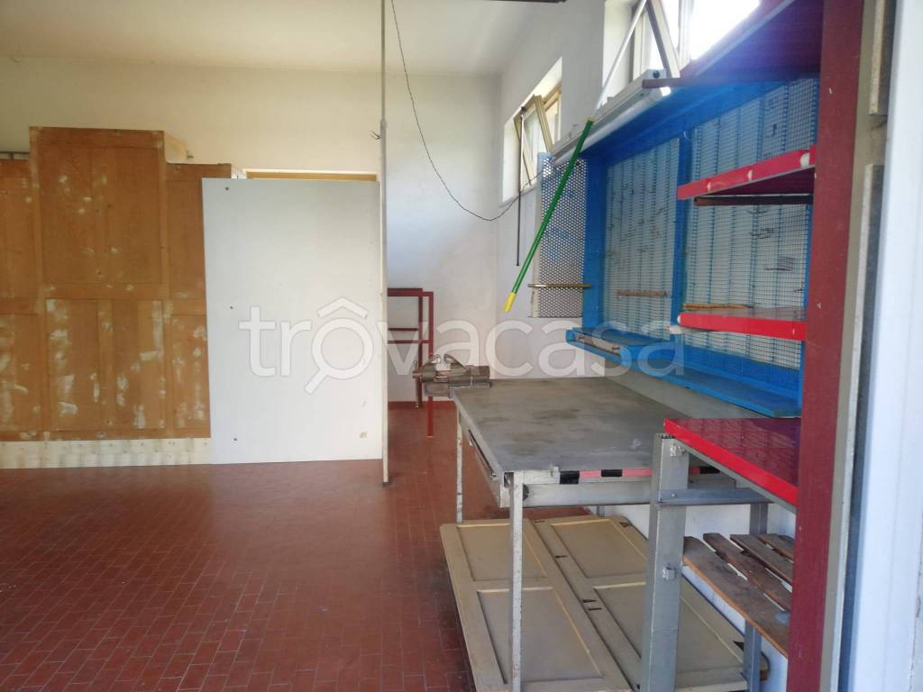 immagine annuncio 3 di 7
