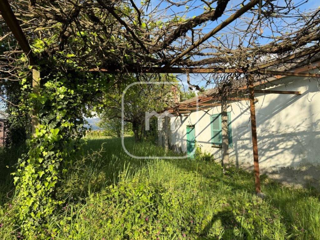 immagine annuncio 3 di 14