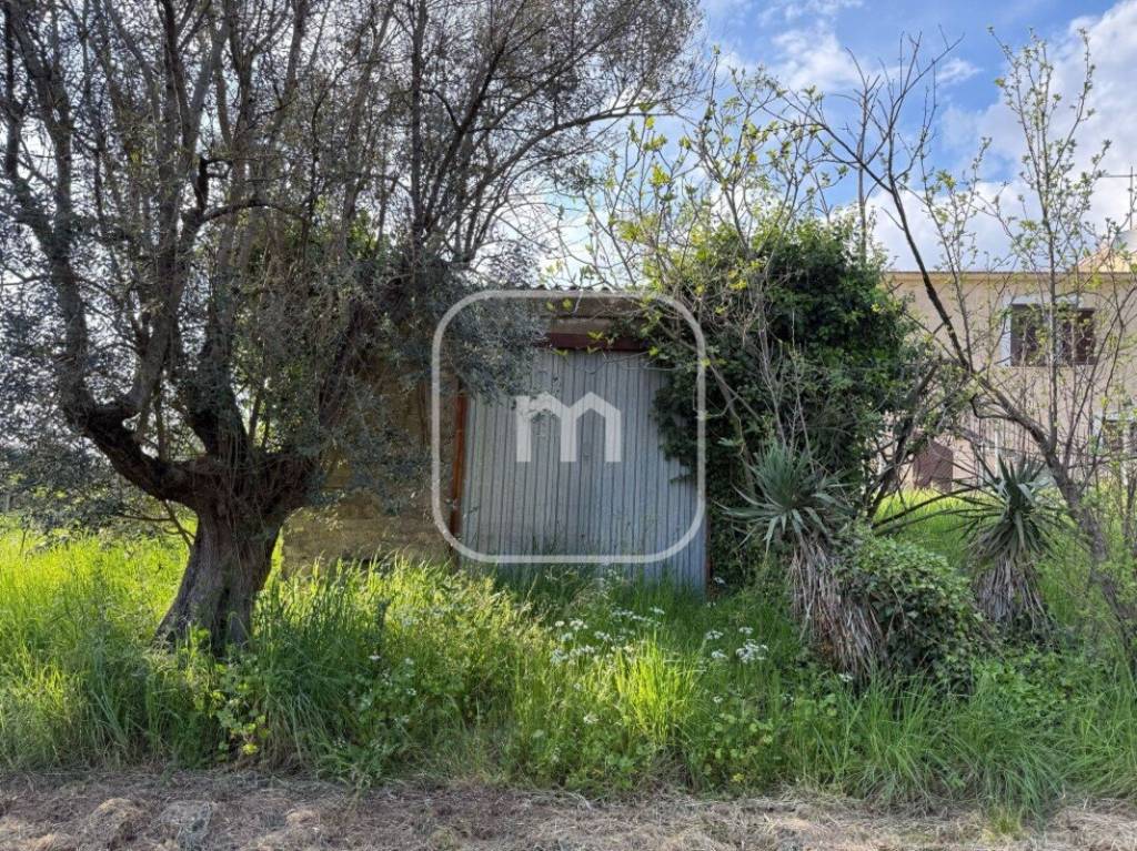 immagine annuncio 6 di 14