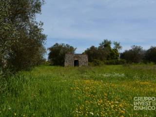 Rustico in vendita a ostuni contrada difesa san salvatore