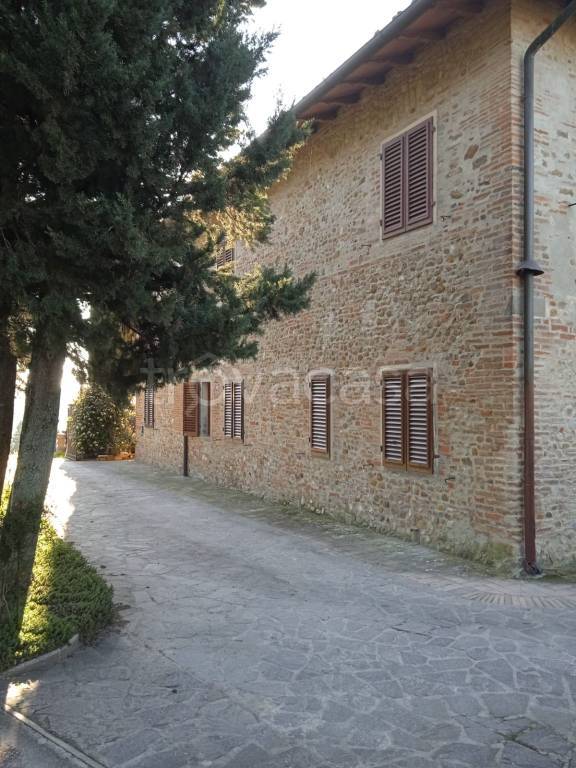 immagine annuncio 4 di 14