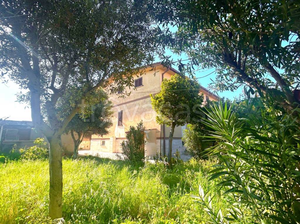 immagine annuncio 5 di 8