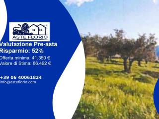 Terreno agricolo all'asta a castellammare del golfo contrada balata inici