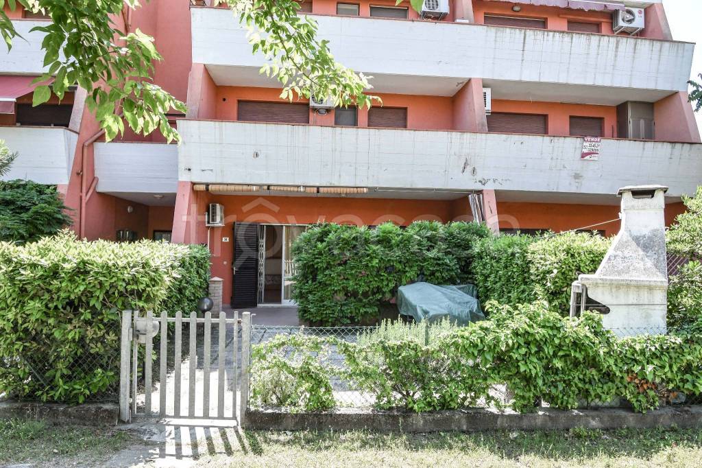 immagine annuncio 9 di 15