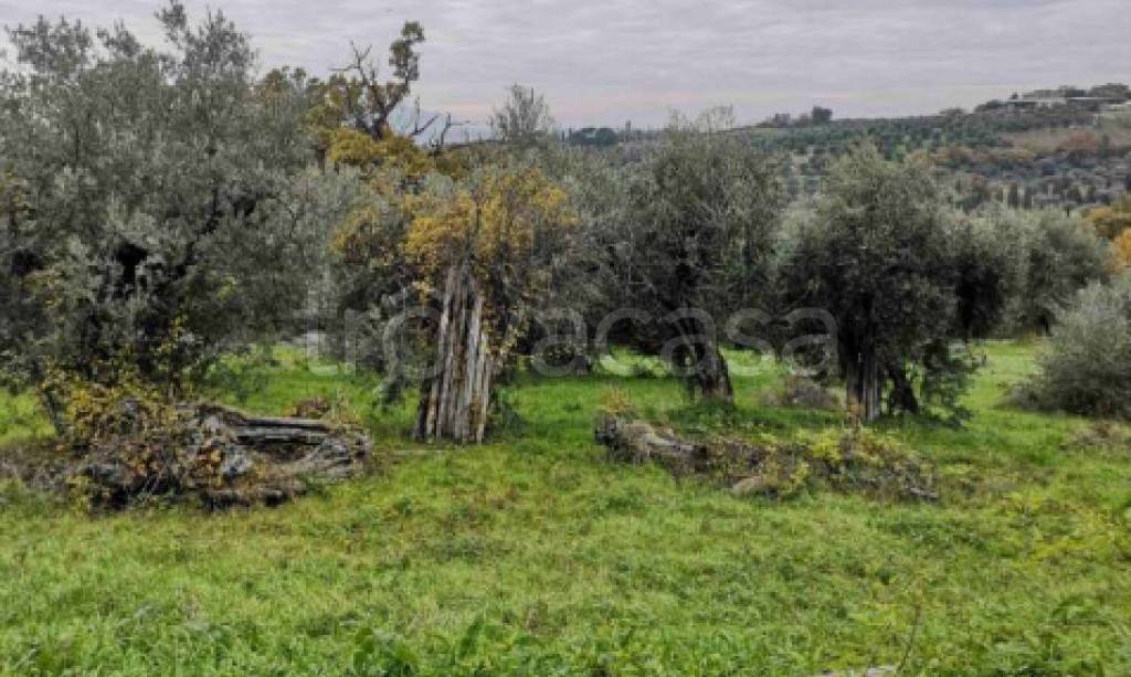 immagine annuncio 5 di 11