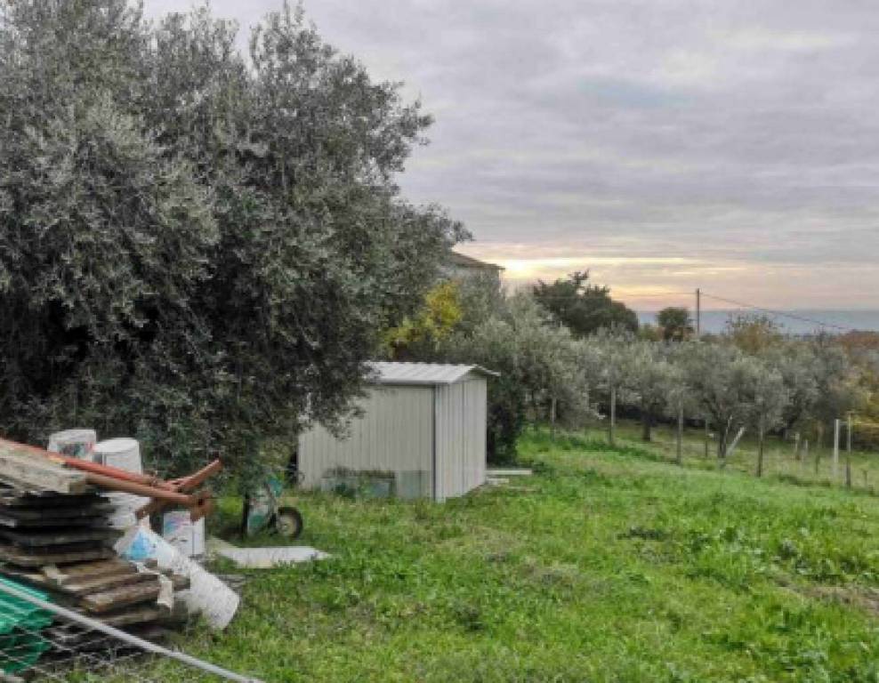 immagine annuncio 7 di 11