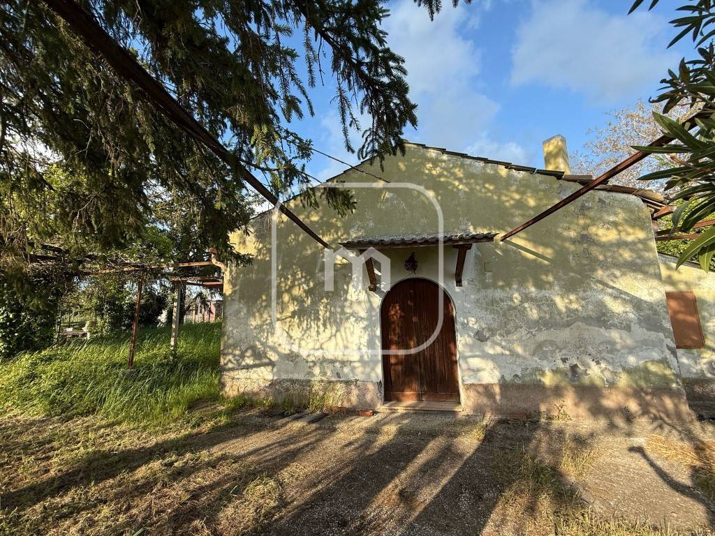 immagine annuncio 2 di 14