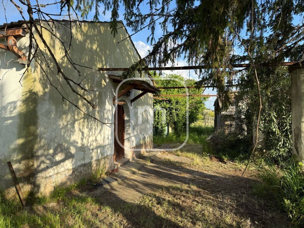 immagine annuncio 3 di 14