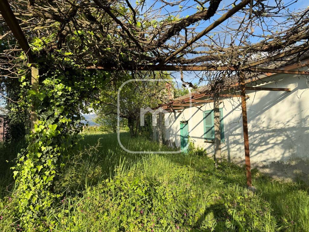 immagine annuncio 4 di 14