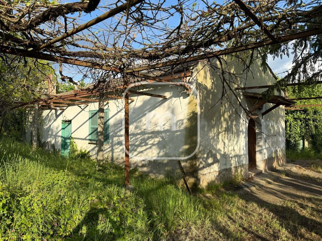 immagine annuncio 5 di 14