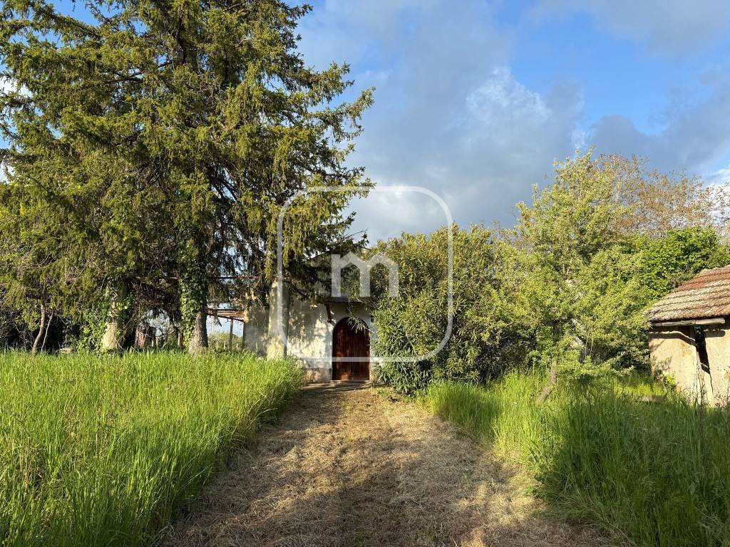 immagine annuncio 6 di 14