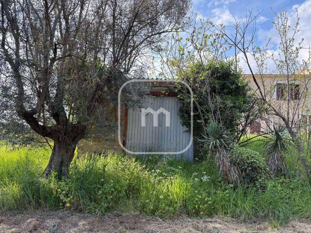 immagine annuncio 7 di 14