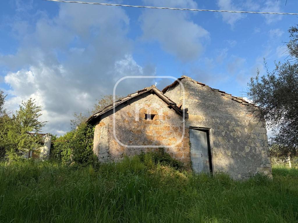 immagine annuncio 8 di 14