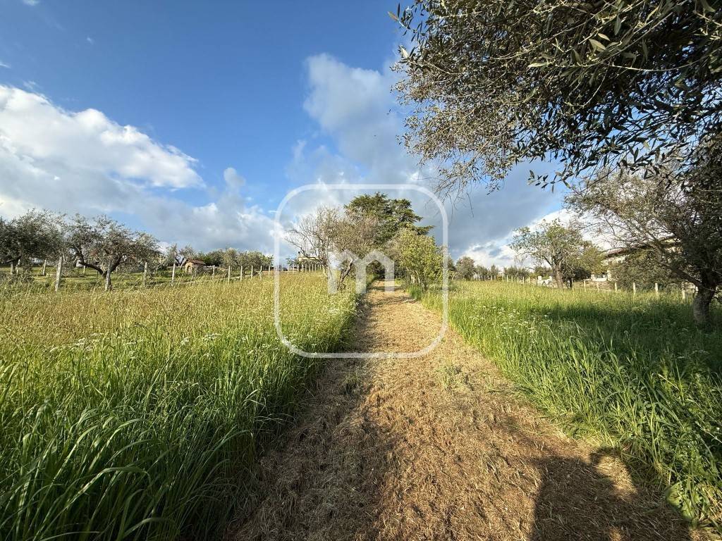 immagine annuncio 10 di 14