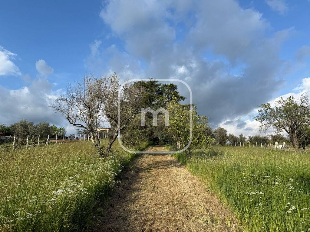 immagine annuncio 11 di 14