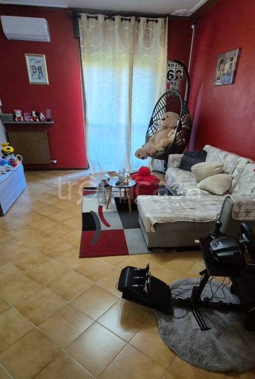 immagine annuncio 9 di 15