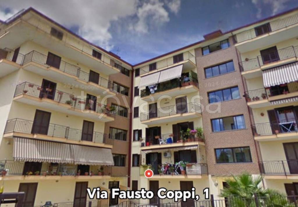 immagine annuncio 1 di 11