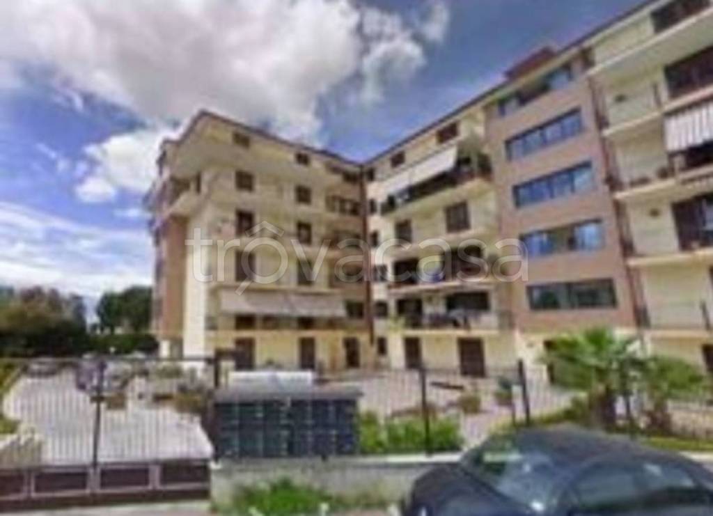 immagine annuncio 8 di 12