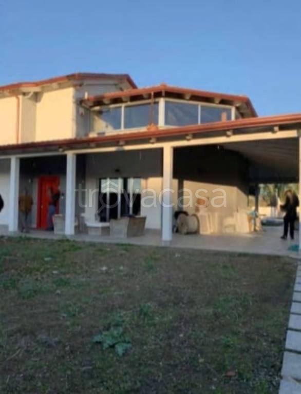 immagine annuncio 9 di 14