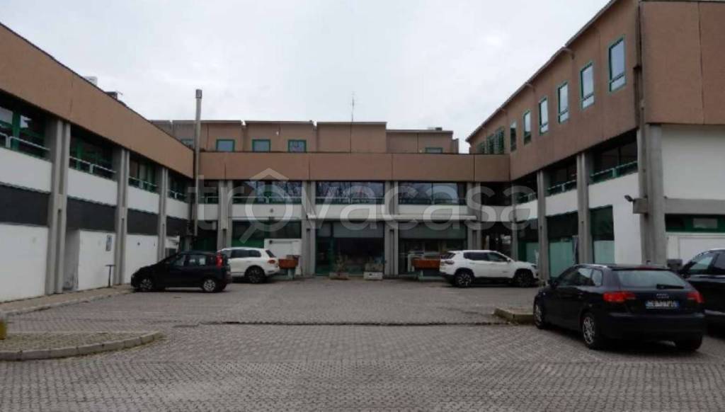 immagine annuncio 7 di 12