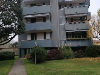 Ufficio in in affitto da privato a legnano via bezzecca, 22