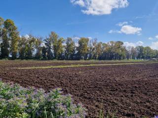 Terreno agricolo in vendita a pontinia strada migliara 45 destra