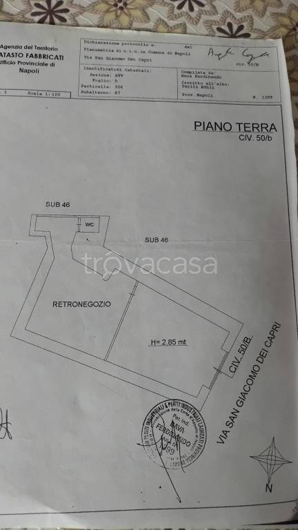 immagine annuncio 12 di 13