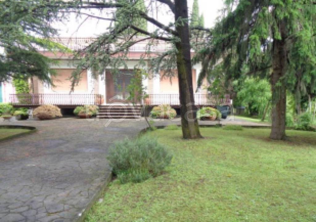 immagine annuncio 10 di 11