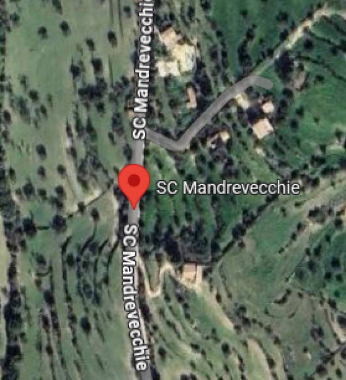 immagine annuncio 11 di 13