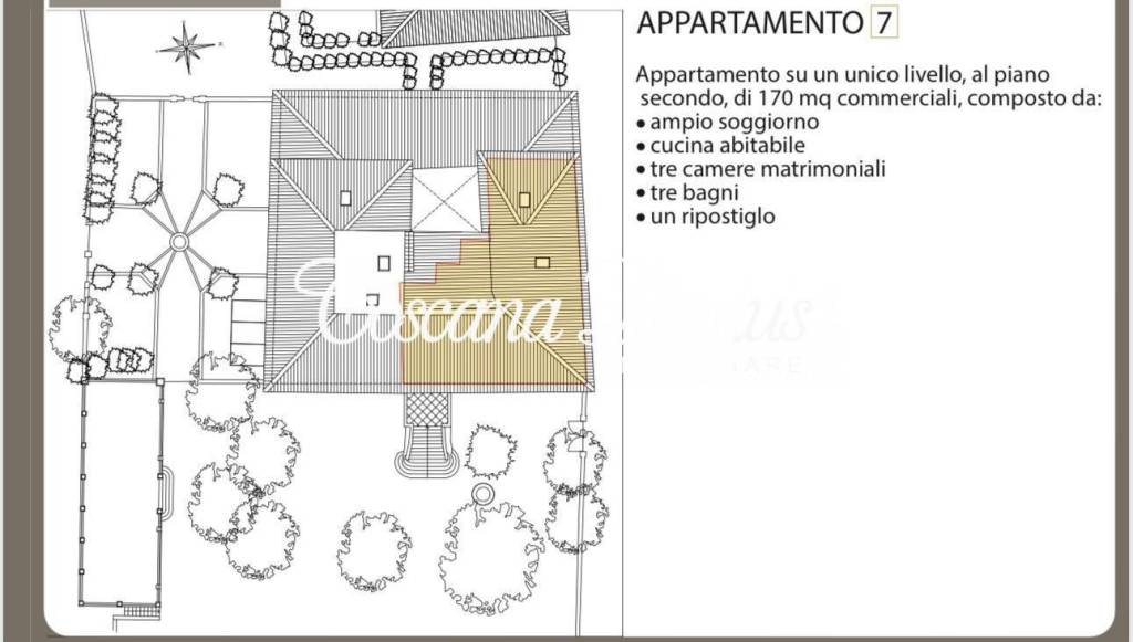 immagine annuncio 6 di 8