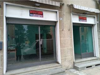 Articoli caccia e pesca in in affitto da privato a bologna via agucchi