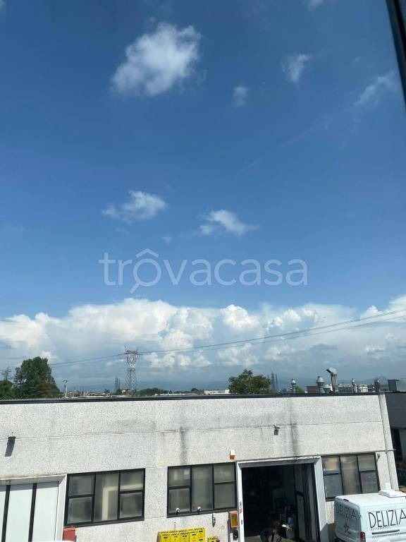 immagine annuncio 3 di 14