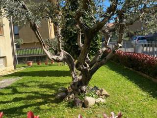 Appartamento in vendita a città di castello via armando polpettini