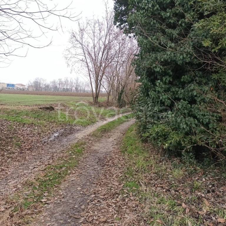 immagine annuncio 7 di 8