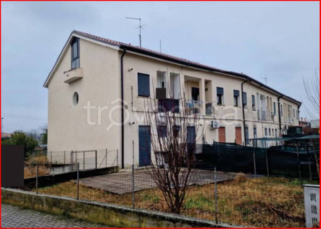 immagine annuncio 3 di 11