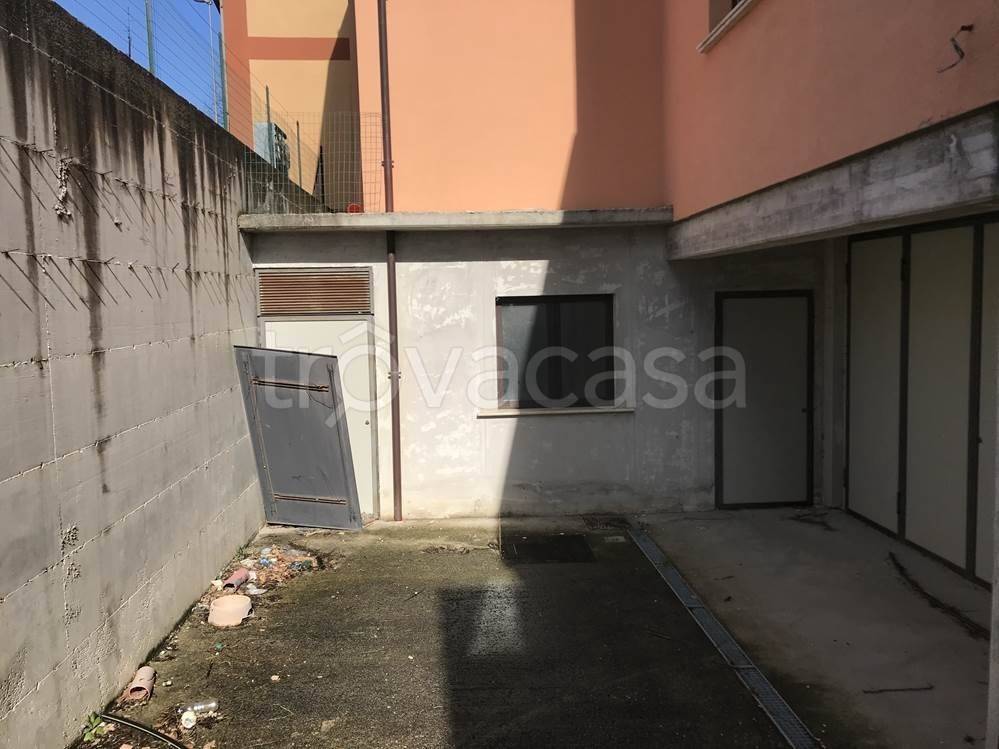 immagine annuncio 9 di 12