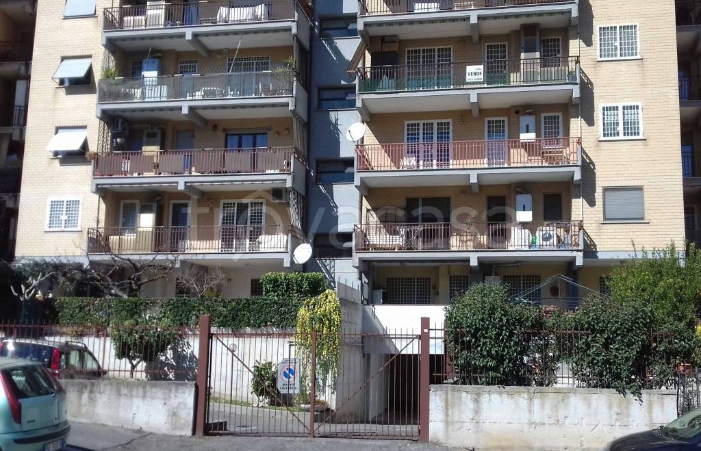 immagine annuncio 9 di 13