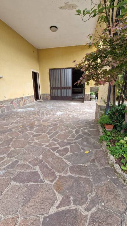 immagine annuncio 2 di 6