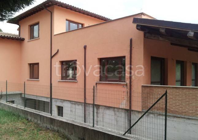 immagine annuncio 11 di 12