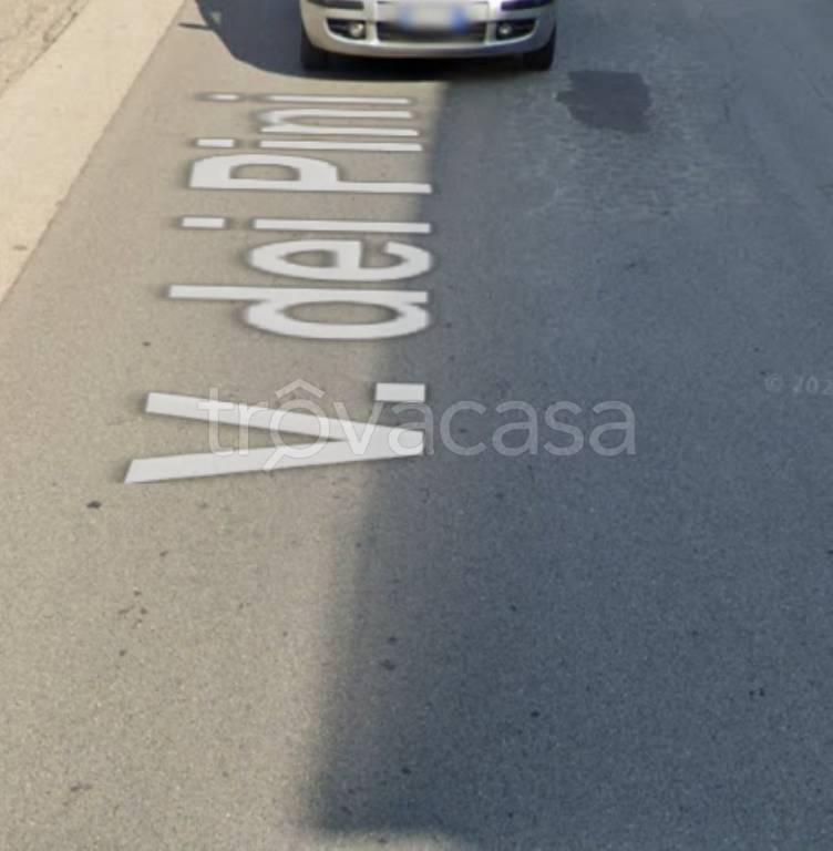 immagine annuncio 3 di 14