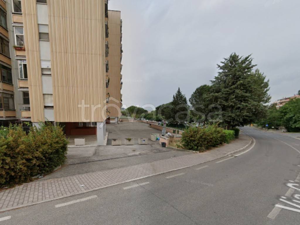 immagine annuncio 4 di 11