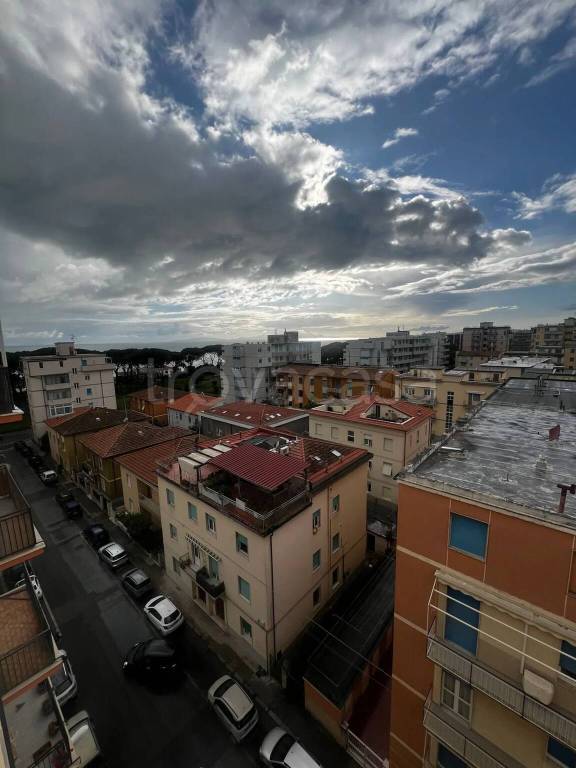 immagine annuncio 5 di 14
