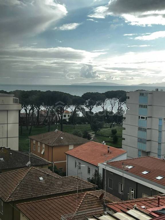 immagine annuncio 6 di 14